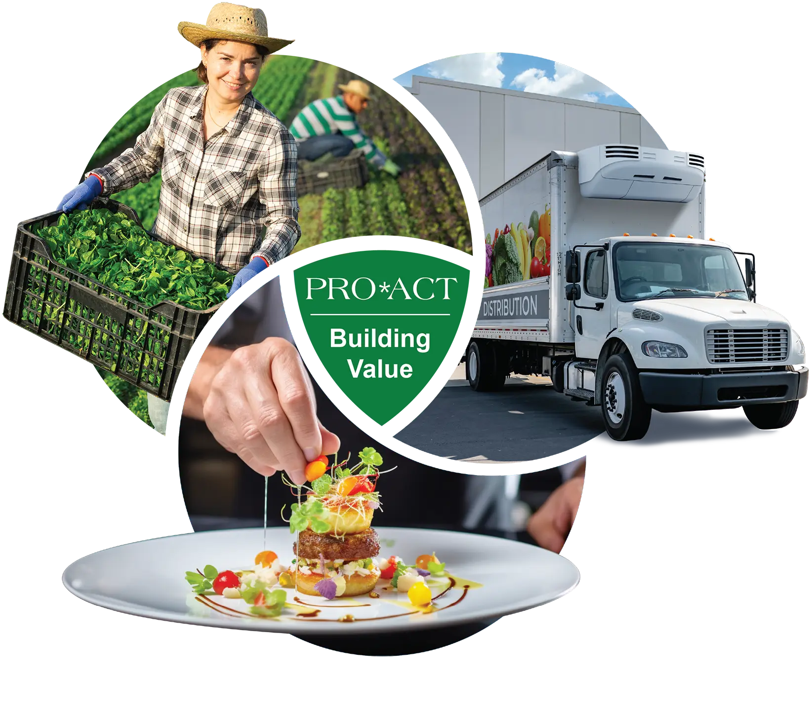 PRO*ACT Building Value